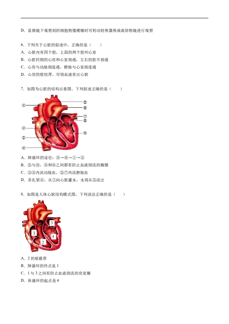 专题12人体内物质的运输-2022年中考生物一轮复习抓重点考典型（人教版）（原卷版）_6生物中考复习_2023年中考复习资料_一轮复习_2022年中考生物一轮复习抓重点考典型（人教版）