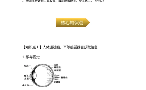 专题11人体生命活动的调节与人类活动对生物圈的影响-备战2023年中考生物核心考点梳理与必背_6生物中考复习_2023年中考复习资料_专项复习_备战2023年中考生物核心考点梳理与必背