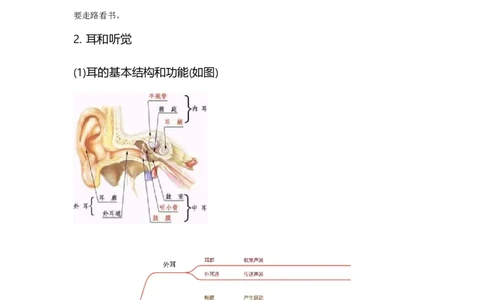 专题11人体生命活动的调节与人类活动对生物圈的影响-备战2023年中考生物核心考点梳理与必背_6生物中考复习_2023年中考复习资料_专项复习_备战2023年中考生物核心考点梳理与必背