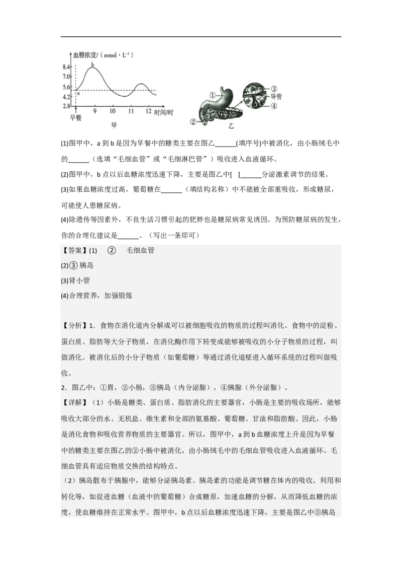 专题11人体生命活动的调节与人类活动对生物圈的影响-备战2023年中考生物核心考点梳理与必背_6生物中考复习_2023年中考复习资料_专项复习_备战2023年中考生物核心考点梳理与必背