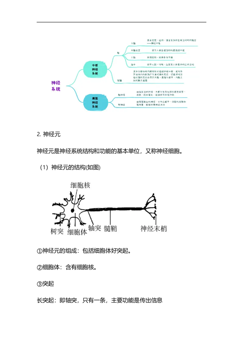 专题11人体生命活动的调节与人类活动对生物圈的影响-备战2023年中考生物核心考点梳理与必背_6生物中考复习_2023年中考复习资料_专项复习_备战2023年中考生物核心考点梳理与必背