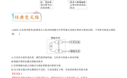 考向16人体内环境稳态及实例-备战2023年高考生物一轮复习考点微专题（全国通用）（解析版）_通用版（老高考）复习资料_2023年复习资料_一轮复习