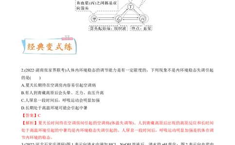 考向16人体内环境稳态及实例-备战2023年高考生物一轮复习考点微专题（全国通用）（解析版）_通用版（老高考）复习资料_2023年复习资料_一轮复习