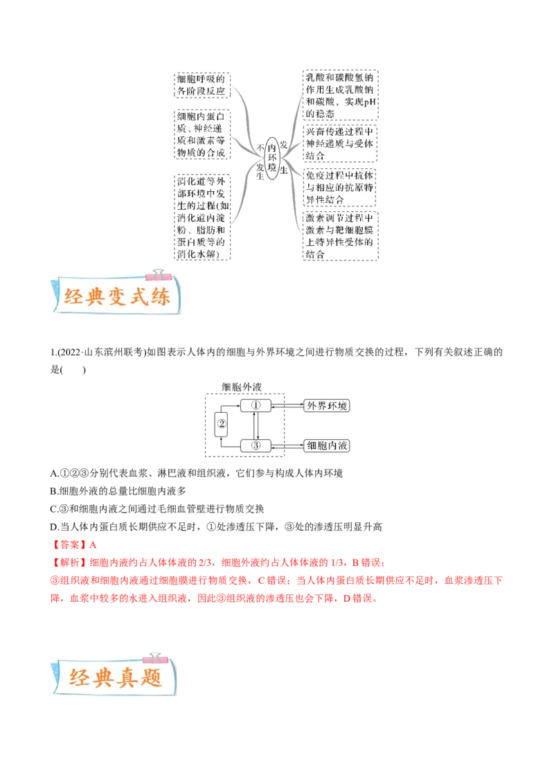 考向16人体内环境稳态及实例-备战2023年高考生物一轮复习考点微专题（全国通用）（解析版）_通用版（老高考）复习资料_2023年复习资料_一轮复习