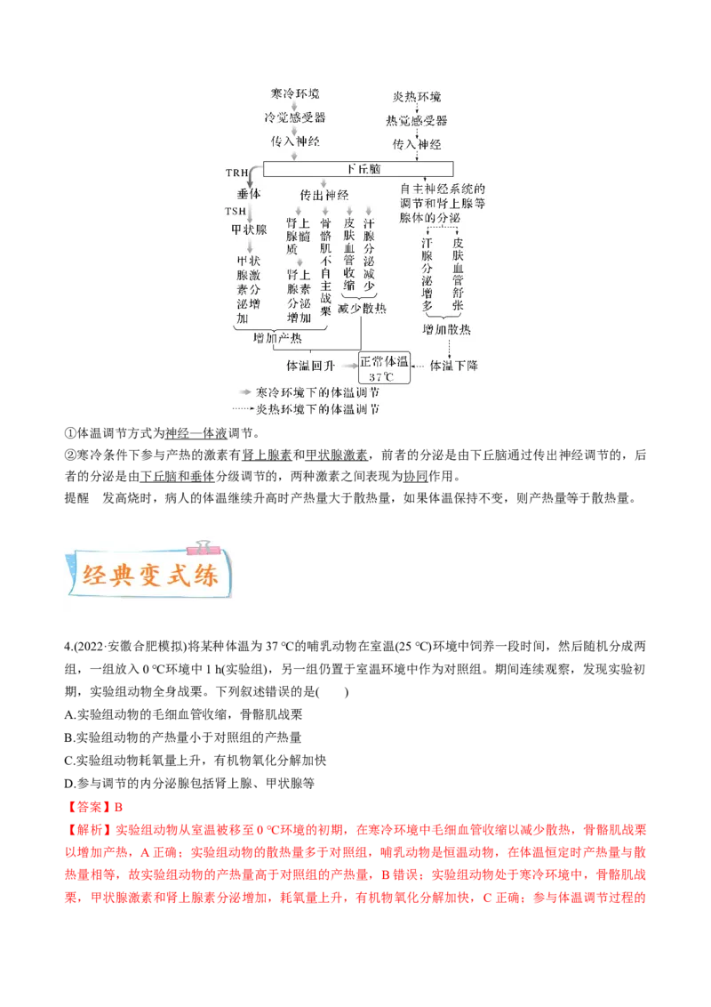 考向16人体内环境稳态及实例-备战2023年高考生物一轮复习考点微专题（全国通用）（解析版）_通用版（老高考）复习资料_2023年复习资料_一轮复习