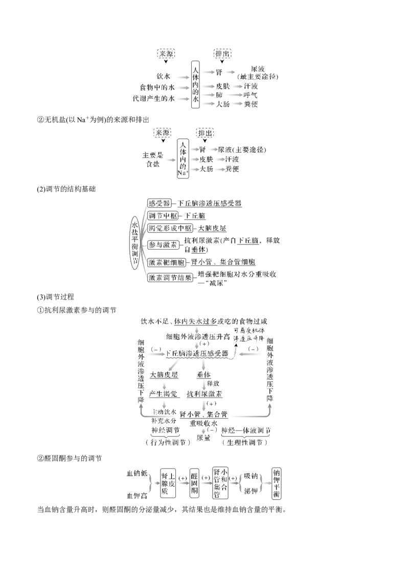 考向16人体内环境稳态及实例-备战2023年高考生物一轮复习考点微专题（全国通用）（解析版）_通用版（老高考）复习资料_2023年复习资料_一轮复习