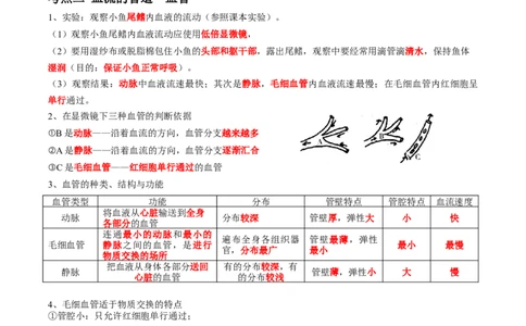 专题12人体内物质的运输-2022年中考生物一轮复习抓重点考典型（人教版）（解析版）_6生物中考复习_2023年中考复习资料_一轮复习_2022年中考生物一轮复习抓重点考典型（人教版）