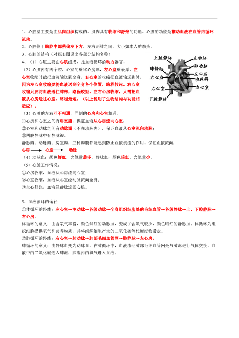 专题12人体内物质的运输-2022年中考生物一轮复习抓重点考典型（人教版）（解析版）_6生物中考复习_2023年中考复习资料_一轮复习_2022年中考生物一轮复习抓重点考典型（人教版）