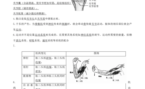 专题13动物的运动和行为（知识帮）-备战2023年中考生物一轮复习考点帮（全国通用）_6生物中考复习_2023年中考复习资料_一轮复习