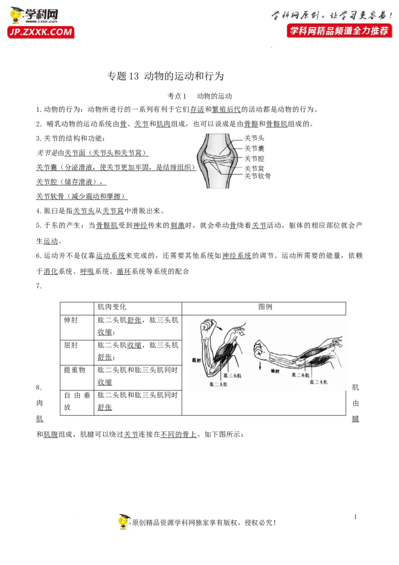 专题13动物的运动和行为（知识帮）-备战2023年中考生物一轮复习考点帮（全国通用）_6生物中考复习_2023年中考复习资料_一轮复习