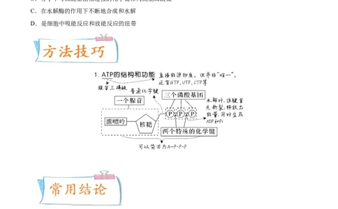考向04ATP和酶-备战2023年高考生物一轮复习考点微专题（全国通用）（原卷版）(1)_通用版（老高考）复习资料_2023年复习资料_一轮复习_备战2023年高考生物一轮复习考点微专题（全国通用）