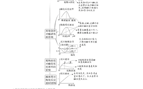 考向04ATP和酶-备战2023年高考生物一轮复习考点微专题（全国通用）（原卷版）(1)_通用版（老高考）复习资料_2023年复习资料_一轮复习_备战2023年高考生物一轮复习考点微专题（全国通用）