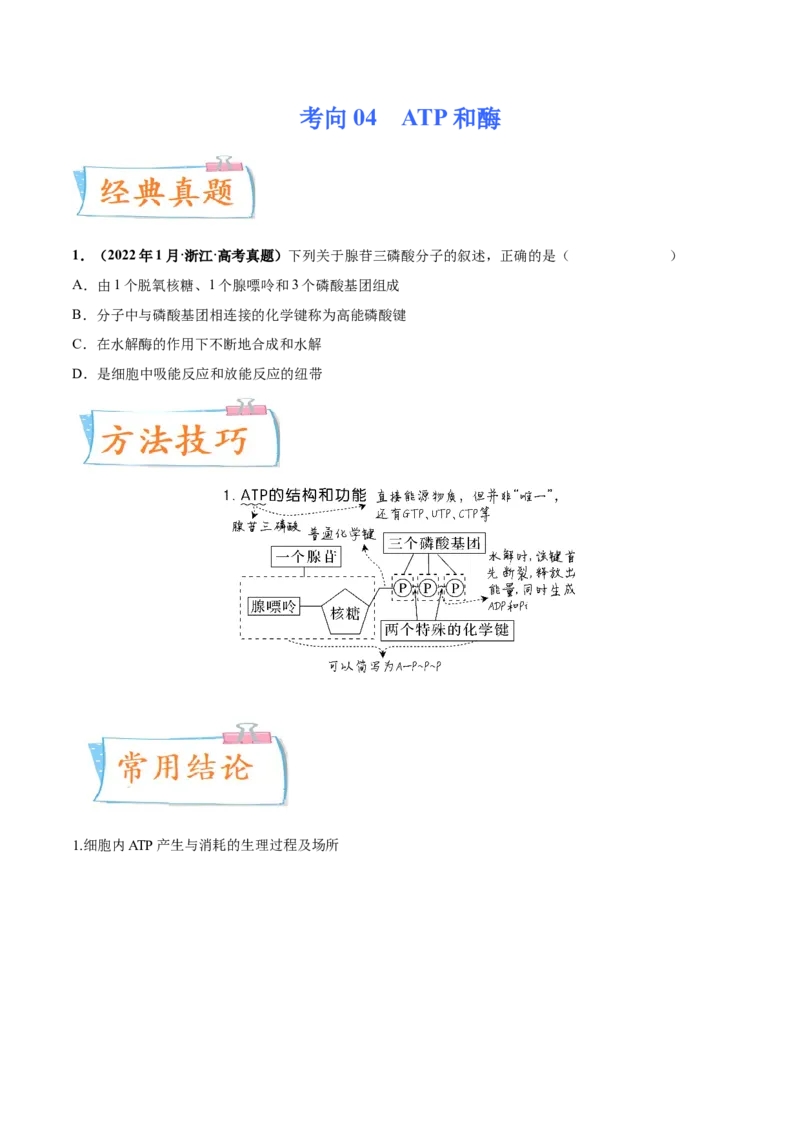 考向04ATP和酶-备战2023年高考生物一轮复习考点微专题（全国通用）（原卷版）(1)_通用版（老高考）复习资料_2023年复习资料_一轮复习_备战2023年高考生物一轮复习考点微专题（全国通用）