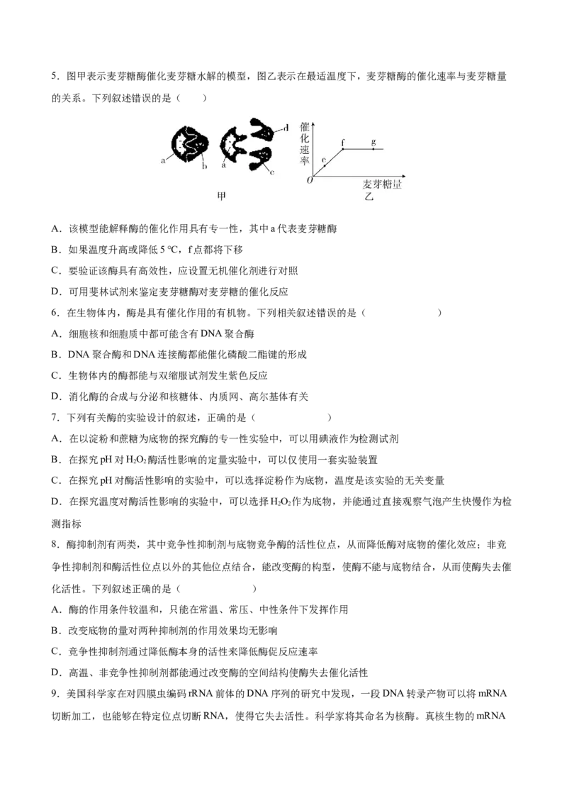 考向04ATP和酶-备战2023年高考生物一轮复习考点微专题（全国通用）（原卷版）(1)_通用版（老高考）复习资料_2023年复习资料_一轮复习_备战2023年高考生物一轮复习考点微专题（全国通用）