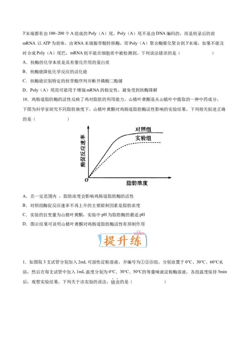 考向04ATP和酶-备战2023年高考生物一轮复习考点微专题（全国通用）（原卷版）(1)_通用版（老高考）复习资料_2023年复习资料_一轮复习_备战2023年高考生物一轮复习考点微专题（全国通用）