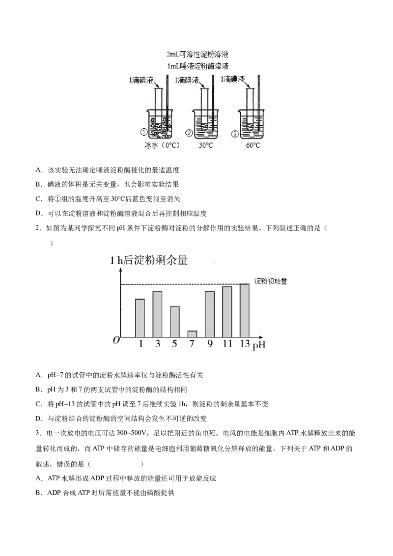 考向04ATP和酶-备战2023年高考生物一轮复习考点微专题（全国通用）（原卷版）(1)_通用版（老高考）复习资料_2023年复习资料_一轮复习_备战2023年高考生物一轮复习考点微专题（全国通用）