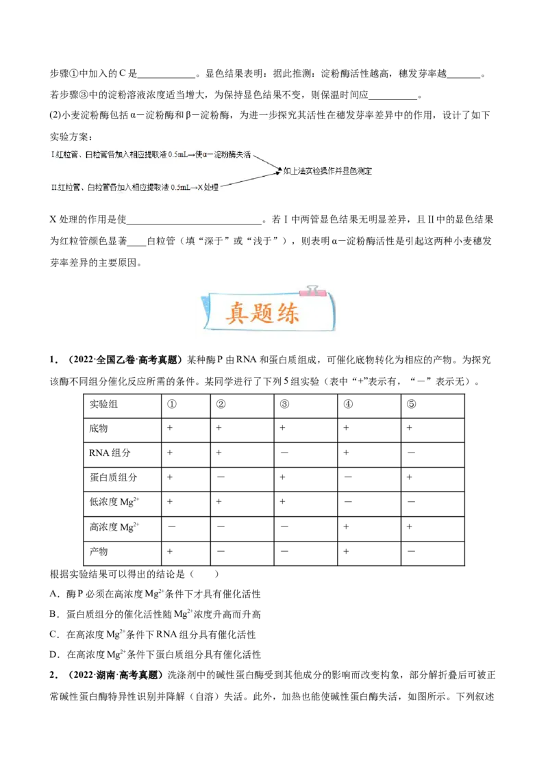 考向04ATP和酶-备战2023年高考生物一轮复习考点微专题（全国通用）（原卷版）(1)_通用版（老高考）复习资料_2023年复习资料_一轮复习_备战2023年高考生物一轮复习考点微专题（全国通用）