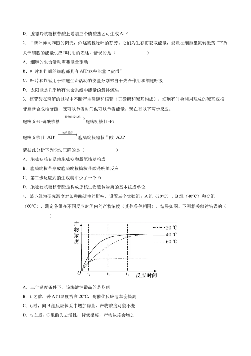 考向04ATP和酶-备战2023年高考生物一轮复习考点微专题（全国通用）（原卷版）(1)_通用版（老高考）复习资料_2023年复习资料_一轮复习_备战2023年高考生物一轮复习考点微专题（全国通用）