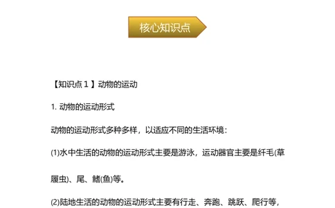 专题13动物的运动和行为-备战2023年中考生物核心考点梳理与必背_6生物中考复习_2023年中考复习资料_专项复习_备战2023年中考生物核心考点梳理与必背