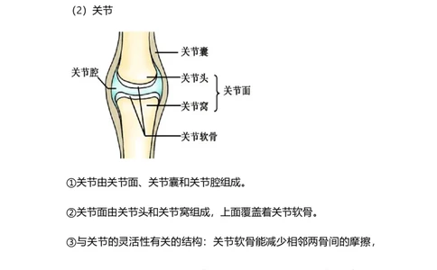 专题13动物的运动和行为-备战2023年中考生物核心考点梳理与必背_6生物中考复习_2023年中考复习资料_专项复习_备战2023年中考生物核心考点梳理与必背