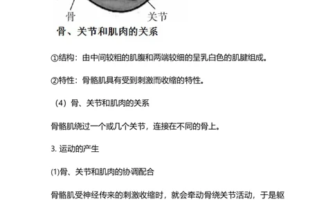专题13动物的运动和行为-备战2023年中考生物核心考点梳理与必背_6生物中考复习_2023年中考复习资料_专项复习_备战2023年中考生物核心考点梳理与必背