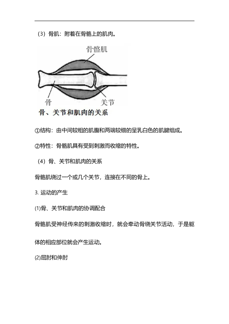 专题13动物的运动和行为-备战2023年中考生物核心考点梳理与必背_6生物中考复习_2023年中考复习资料_专项复习_备战2023年中考生物核心考点梳理与必背