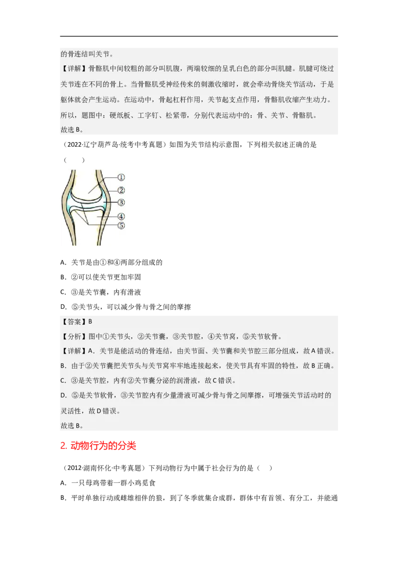 专题13动物的运动和行为-备战2023年中考生物核心考点梳理与必背_6生物中考复习_2023年中考复习资料_专项复习_备战2023年中考生物核心考点梳理与必背