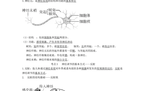 专题11人体生命活动的调节（知识帮）-备战2023年中考生物一轮复习考点帮（全国通用）_6生物中考复习_2023年中考复习资料_一轮复习