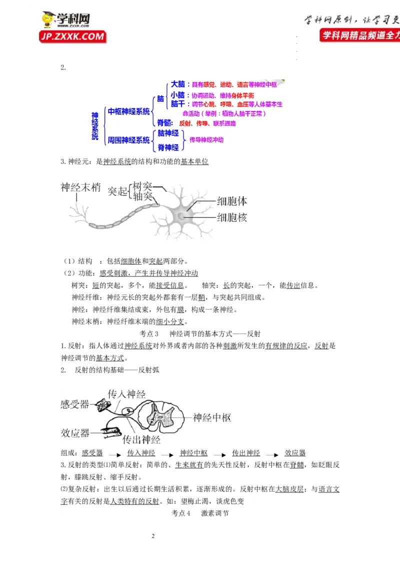 专题11人体生命活动的调节（知识帮）-备战2023年中考生物一轮复习考点帮（全国通用）_6生物中考复习_2023年中考复习资料_一轮复习
