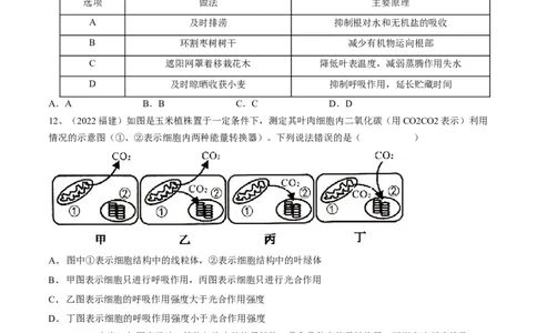 专题08绿色植物的呼吸作用（原卷版）_6生物中考复习_2023年中考复习资料_一轮复习_2023年中考生物一轮复习讲练测_专题08绿色植物的呼吸作用（专题精练）-2023年中考生物一轮复习讲练测