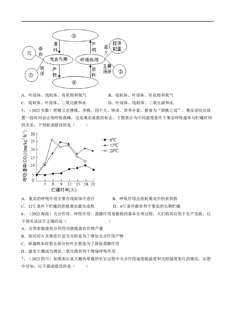 专题08绿色植物的呼吸作用（原卷版）_6生物中考复习_2023年中考复习资料_一轮复习_2023年中考生物一轮复习讲练测_专题08绿色植物的呼吸作用（专题精练）-2023年中考生物一轮复习讲练测