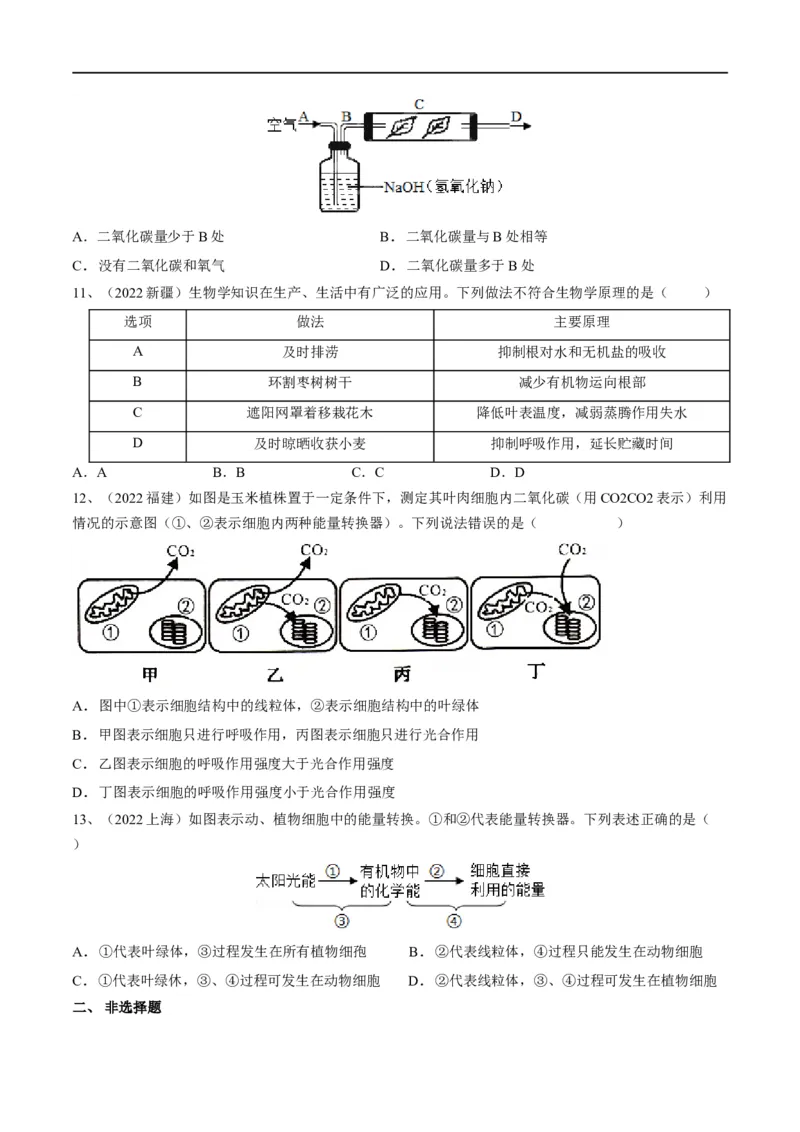 专题08绿色植物的呼吸作用（原卷版）_6生物中考复习_2023年中考复习资料_一轮复习_2023年中考生物一轮复习讲练测_专题08绿色植物的呼吸作用（专题精练）-2023年中考生物一轮复习讲练测