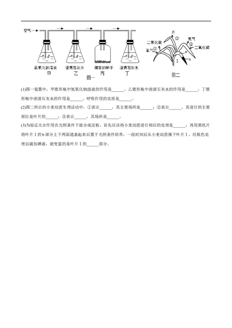 专题08绿色植物的呼吸作用（原卷版）_6生物中考复习_2023年中考复习资料_一轮复习_2023年中考生物一轮复习讲练测_专题08绿色植物的呼吸作用（专题精练）-2023年中考生物一轮复习讲练测