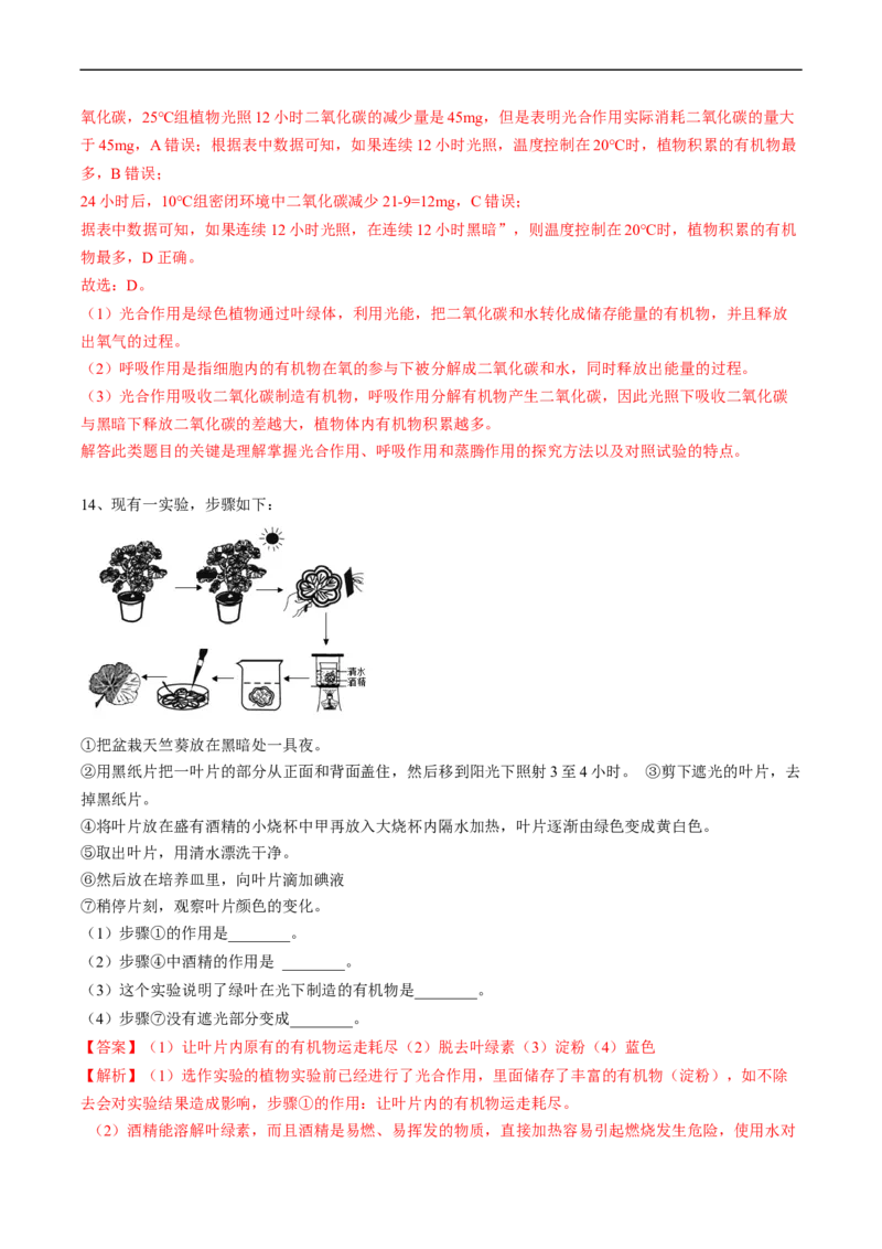 专题08光合作用和呼吸作用-2022年中考生物一轮复习抓重点考典型（人教版）（解析版）_6生物中考复习_2023年中考复习资料_一轮复习_2022年中考生物一轮复习抓重点考典型（人教版）