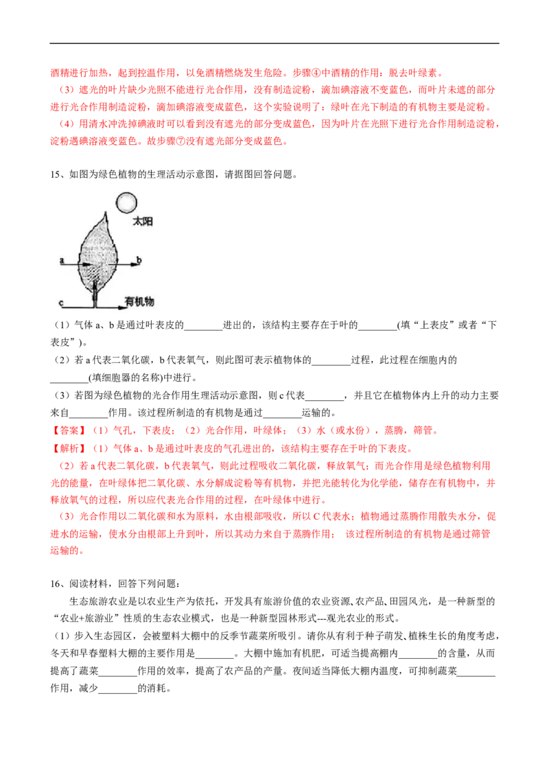 专题08光合作用和呼吸作用-2022年中考生物一轮复习抓重点考典型（人教版）（解析版）_6生物中考复习_2023年中考复习资料_一轮复习_2022年中考生物一轮复习抓重点考典型（人教版）