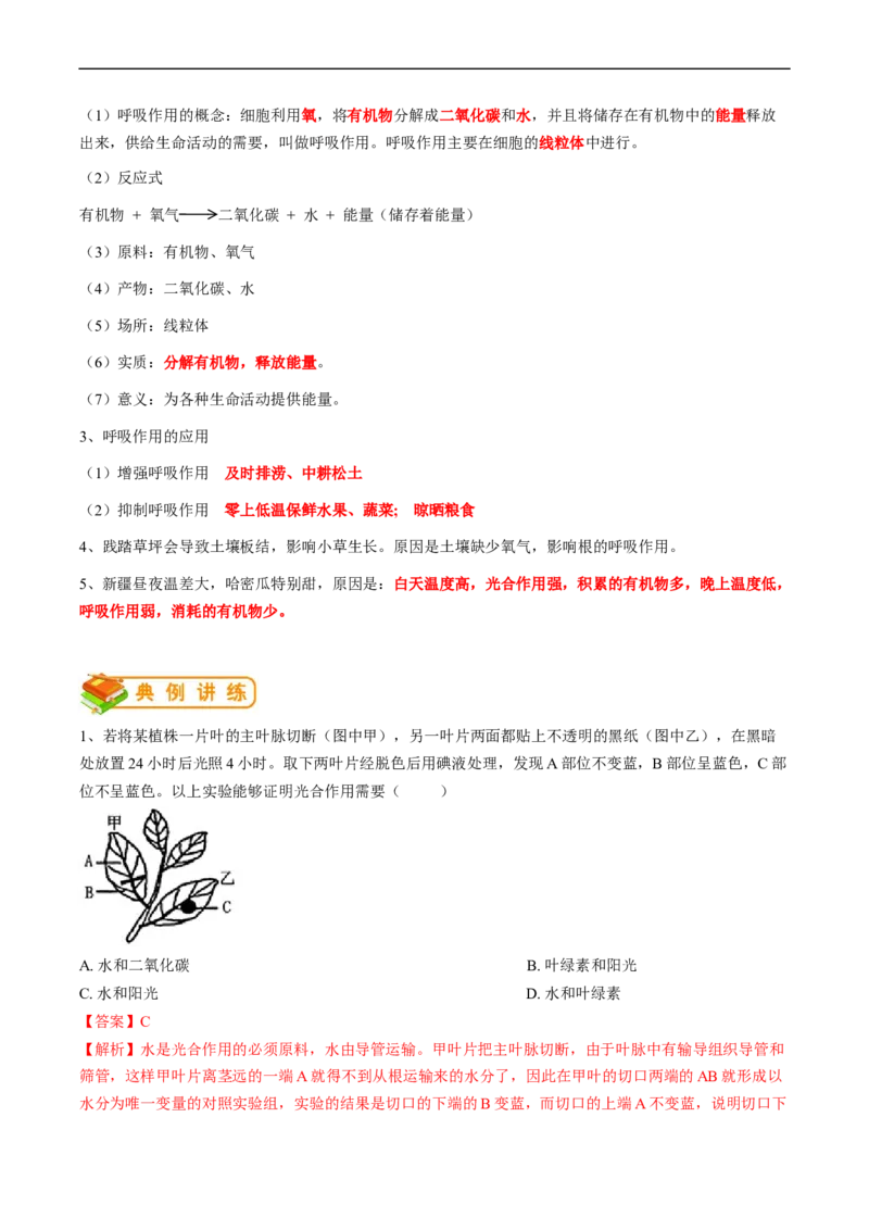 专题08光合作用和呼吸作用-2022年中考生物一轮复习抓重点考典型（人教版）（解析版）_6生物中考复习_2023年中考复习资料_一轮复习_2022年中考生物一轮复习抓重点考典型（人教版）