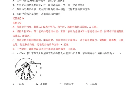 专题12人体内物质的运输（解析版）_6生物中考复习_2023年中考复习资料_一轮复习_2023年中考生物一轮复习讲练测_专题12+人体内物质的运输（专题精练）-2023年中考生物一轮复习讲练测