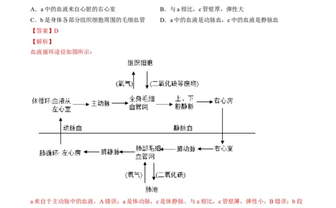 专题12人体内物质的运输（解析版）_6生物中考复习_2023年中考复习资料_一轮复习_2023年中考生物一轮复习讲练测_专题12+人体内物质的运输（专题精练）-2023年中考生物一轮复习讲练测