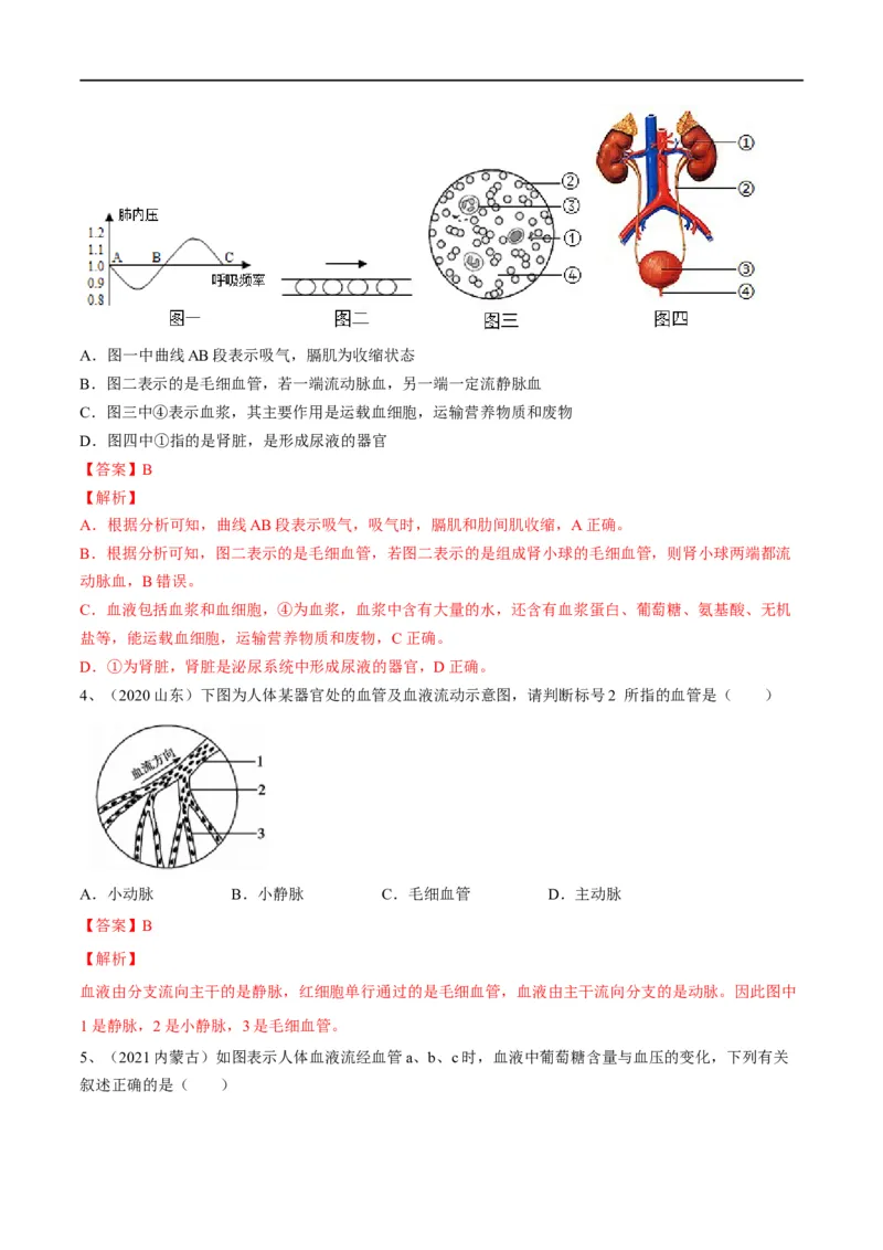 专题12人体内物质的运输（解析版）_6生物中考复习_2023年中考复习资料_一轮复习_2023年中考生物一轮复习讲练测_专题12+人体内物质的运输（专题精练）-2023年中考生物一轮复习讲练测