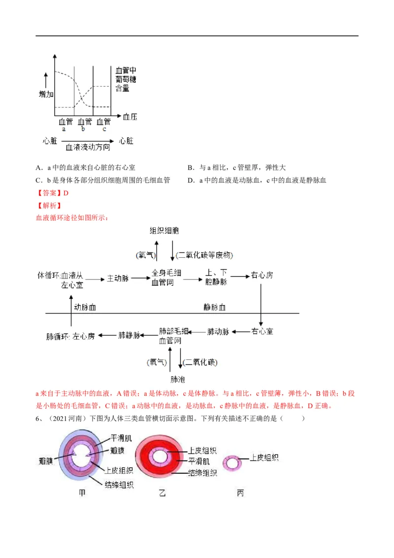 专题12人体内物质的运输（解析版）_6生物中考复习_2023年中考复习资料_一轮复习_2023年中考生物一轮复习讲练测_专题12+人体内物质的运输（专题精练）-2023年中考生物一轮复习讲练测