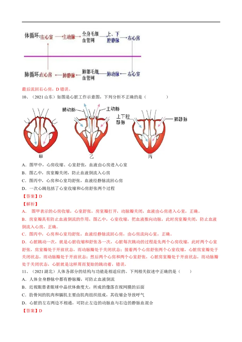 专题12人体内物质的运输（解析版）_6生物中考复习_2023年中考复习资料_一轮复习_2023年中考生物一轮复习讲练测_专题12+人体内物质的运输（专题精练）-2023年中考生物一轮复习讲练测