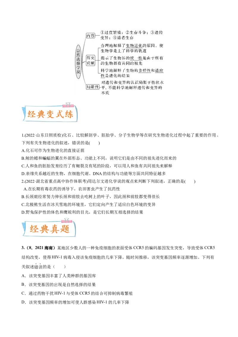 考向15生物的进化-备战2023年高考生物一轮复习考点微专题（全国通用）（原卷版）_通用版（老高考）复习资料_2023年复习资料_一轮复习