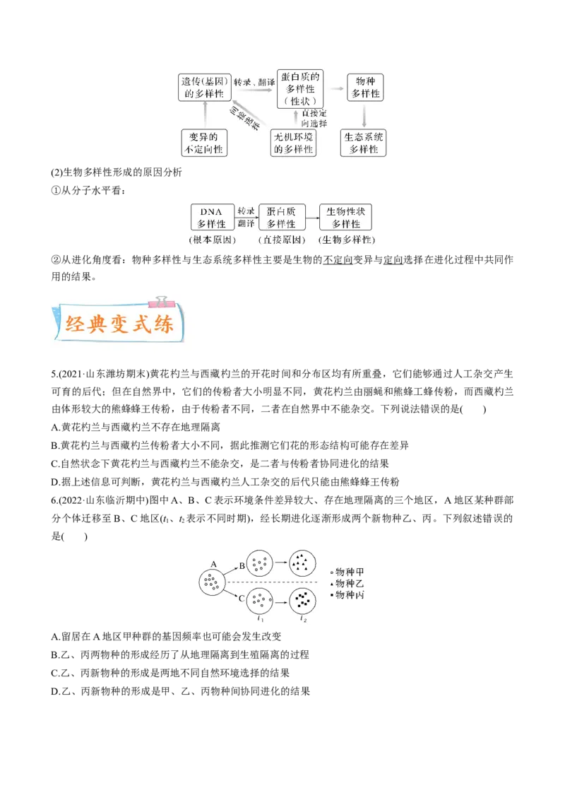 考向15生物的进化-备战2023年高考生物一轮复习考点微专题（全国通用）（原卷版）_通用版（老高考）复习资料_2023年复习资料_一轮复习