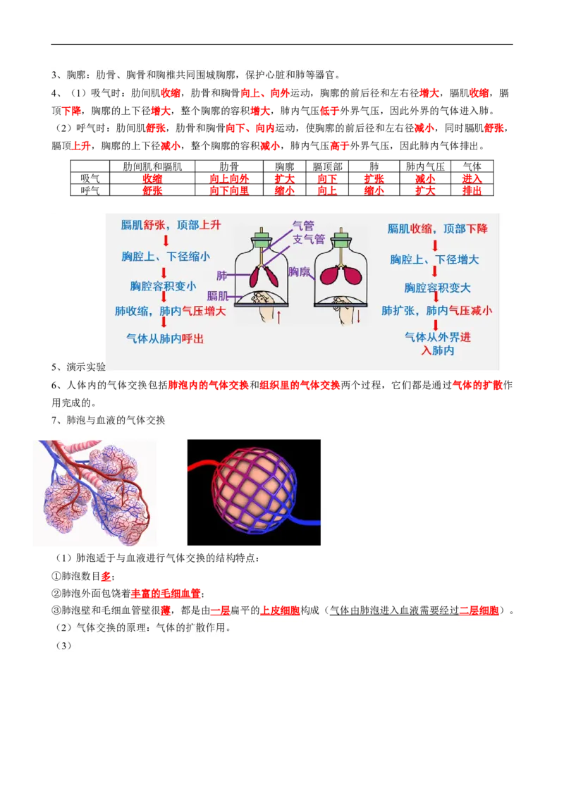 专题11人体的呼吸-2022年中考生物一轮复习抓重点考典型（人教版）（解析版）_6生物中考复习_2023年中考复习资料_一轮复习_2022年中考生物一轮复习抓重点考典型（人教版）