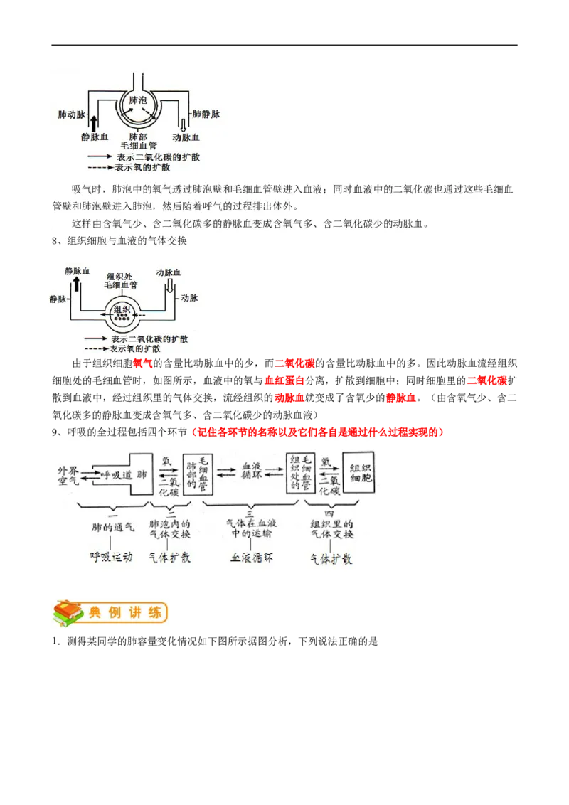 专题11人体的呼吸-2022年中考生物一轮复习抓重点考典型（人教版）（解析版）_6生物中考复习_2023年中考复习资料_一轮复习_2022年中考生物一轮复习抓重点考典型（人教版）