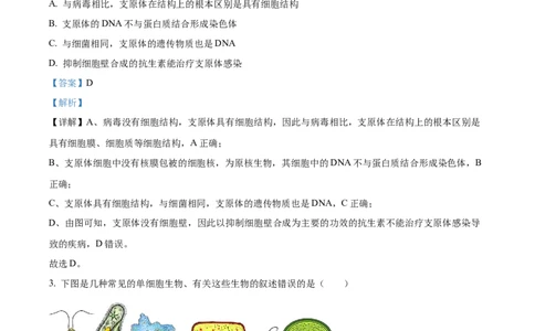 精品解析：江苏省连云港市赣榆区新海高级中学2025-2026学年高一上学期10月月考生物试题（解析版）_2025年10月高一试卷