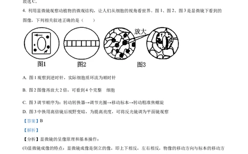 精品解析：江苏省连云港市赣榆区新海高级中学2025-2026学年高一上学期10月月考生物试题（解析版）_2025年10月高一试卷