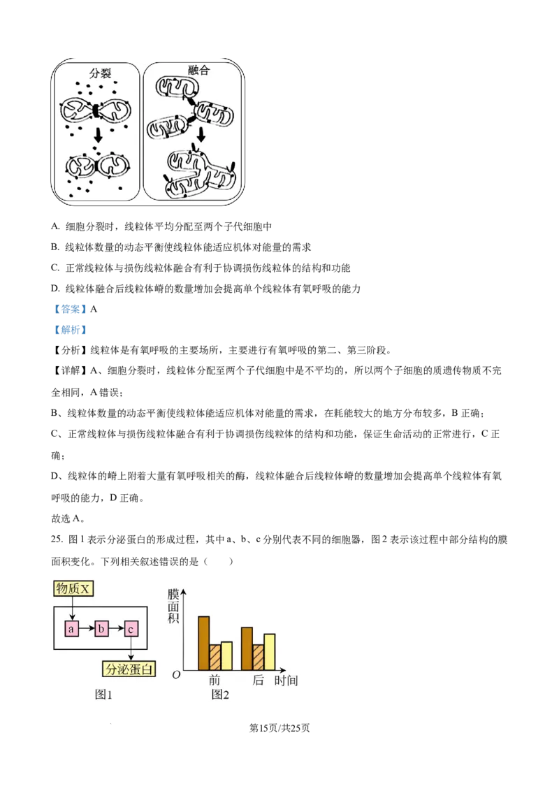 精品解析：江苏省连云港市赣榆区新海高级中学2025-2026学年高一上学期10月月考生物试题（解析版）_2025年10月高一试卷