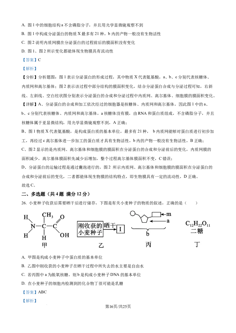 精品解析：江苏省连云港市赣榆区新海高级中学2025-2026学年高一上学期10月月考生物试题（解析版）_2025年10月高一试卷