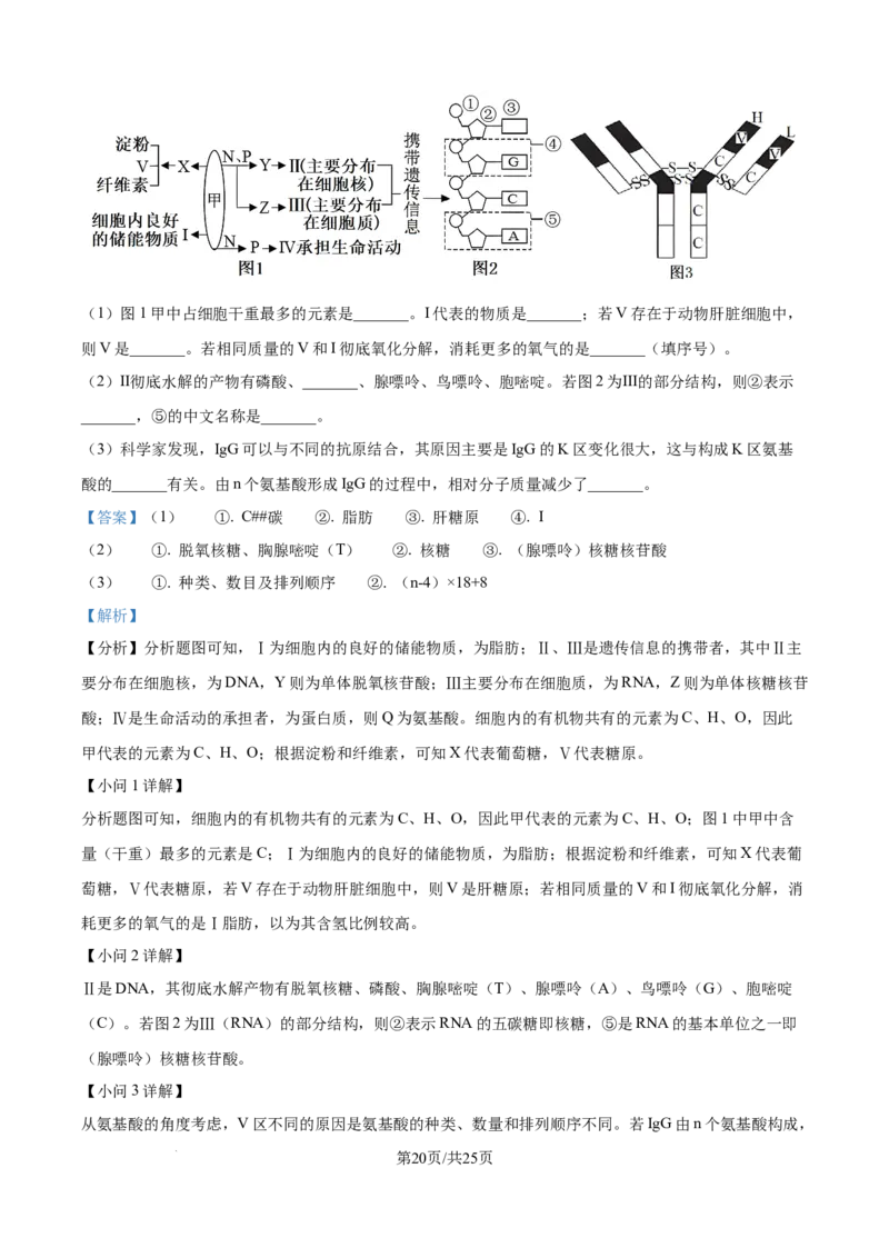 精品解析：江苏省连云港市赣榆区新海高级中学2025-2026学年高一上学期10月月考生物试题（解析版）_2025年10月高一试卷